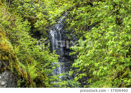 Waterfall on the mountain pass between Ardchattan 37806460