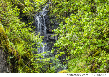 Waterfall on the mountain pass between Ardchattan 37806464