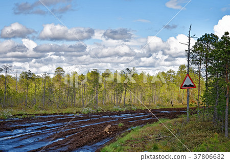 An impassable road in the Siberian taiga 37806682