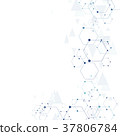 Molecular connection structure 37806784