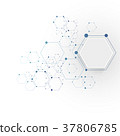 Molecular connection structure 37806785