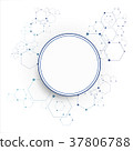 Molecular connection structure 37806788