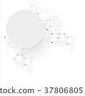 Molecular connection structure 37806805