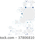 Molecular connection structure 37806810