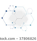 Molecular connection structure 37806826