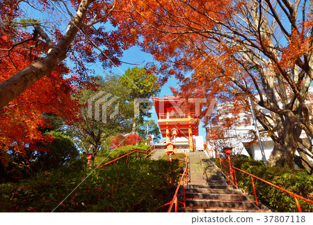 Daisuke Imayama 37807118
