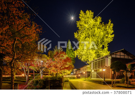 Large ginkgo of Hokuzen Temple ruins Hida Furukawa 37808071