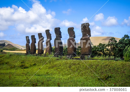 Moais statues, ahu Akivi, easter island 37808081