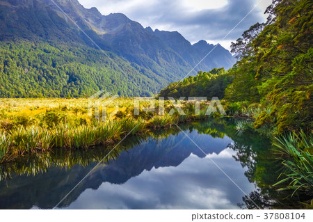 Lake in Fiordland national park, New Zealand Lake in Fiordland national park, New Zealand 37808104