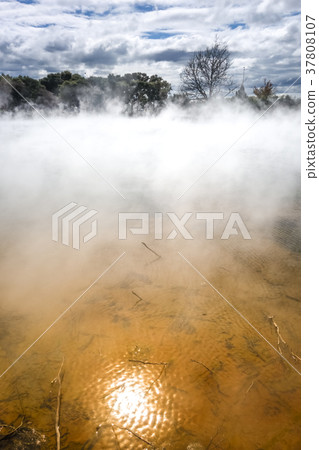 Hot springs lake in Rotorua, New Zealand Hot springs lake in Rotorua, New Zealand 37808107