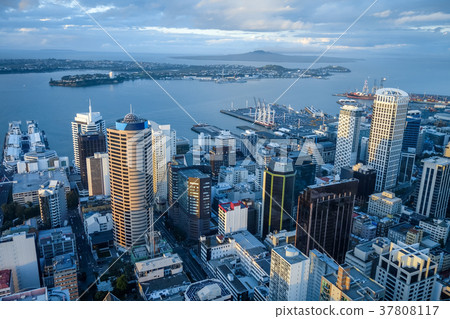 Auckland aerial view, New Zealand 37808117