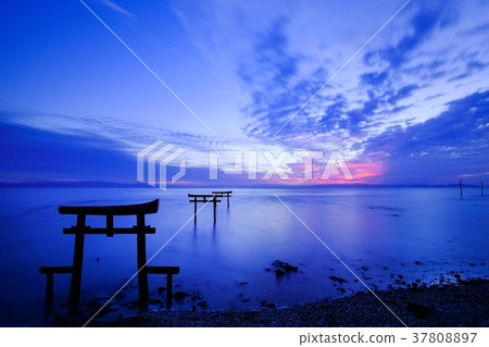 Underwater torii (Tara-cho) Underwater torii (Tara-cho) 37808897