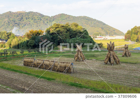 Landscape in late autumn 37809606
