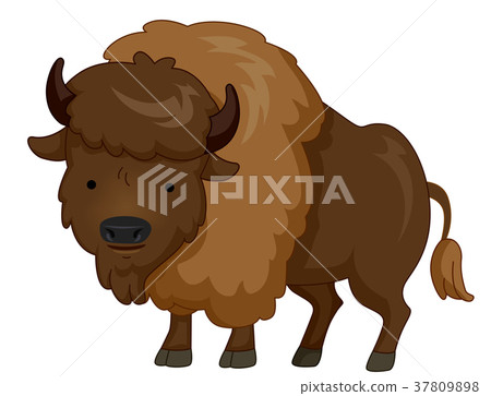 Cute Animal Brown Bison - Stock Illustration [37809898] - PIXTA