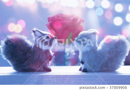 Two squirrels and red rose with bokeh background 37809908