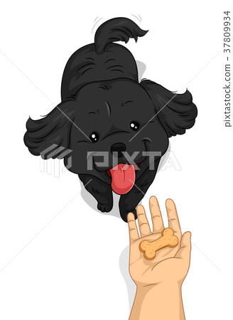 Dog Hand Treat Biscuit 37809934