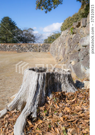 Matsusaka Castle 3867 Matsusaka Castle 3867 37810915