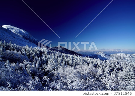 The back garden of Tengu (shooting location: Yatsugatake, Kuro Yuridaira, the back garden of Tengu) 37811846
