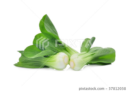 fresh green bok choy (chinese cabbage) isolated  37812038