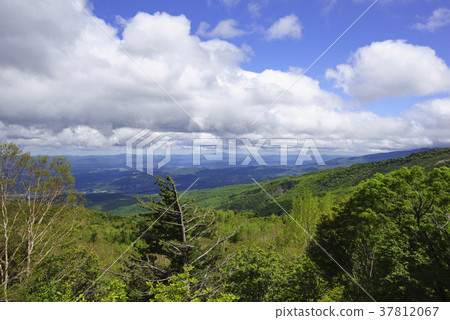 We look at Fukushima city area and Abukuma mountainous district from "garden of Tengu" that Tengu danced in this garden 37812067