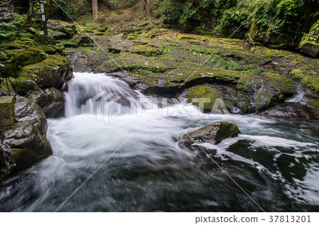 Yinyang Waterfall (Akame Shijuhachitaki) 37813201