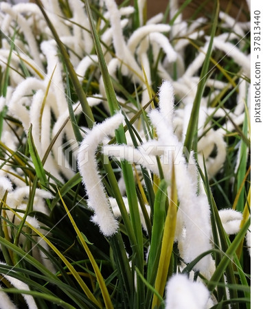 Artificial Mission Grass or Pennisetum with Flower 37813440