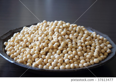 大豆 大豆 37813477