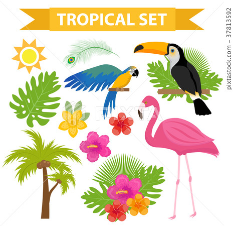 Tropical icon set with birds and flowers, flat - Stock Illustration ...