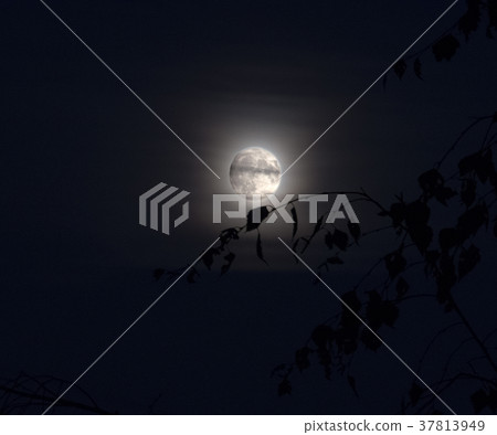 The beautiful full moon The beautiful full moon 37813949