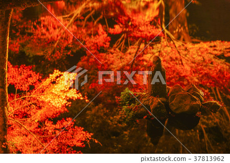 Jizo autumn leaves Jizo autumn leaves 37813962