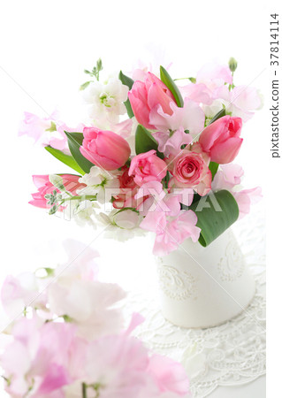 鬱金香的安排 37814114