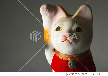 Lucky Cat 37814158