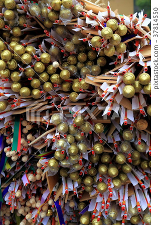 Gokoku Shinto shrine Gokoku Shinto shrine 37814550