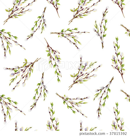 Watercolor willow tree branches pattern 37815392