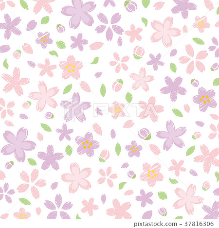 手繪櫻花背景材料 手繪櫻花背景材料 37816306