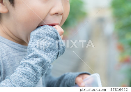 草莓採摘果子採摘果子紅色果子草莓小孩 37816622