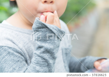 草莓採摘果子採摘果子紅色果子草莓小孩 草莓採摘果子採摘果子紅色果子草莓小孩 37816623