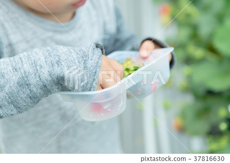 草莓採摘果子採摘果子紅色果子草莓小孩 草莓採摘果子採摘果子紅色果子草莓小孩 37816630