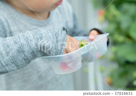 草莓採摘果子採摘果子紅色果子草莓小孩 草莓採摘果子採摘果子紅色果子草莓小孩 37816631