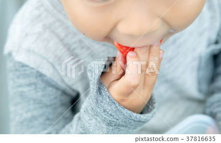 草莓採摘果子採摘果子紅色果子草莓小孩 草莓採摘果子採摘果子紅色果子草莓小孩 37816635