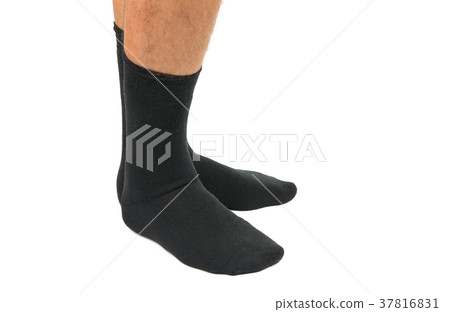 socks on the legs of a man isolated socks on the legs of a man isolated 37816831