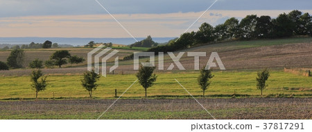 Striped landscape in Zealand, Denmark. Striped landscape in Zealand, Denmark. 37817291