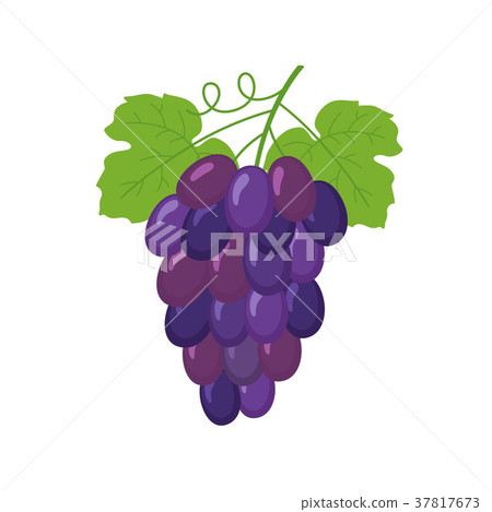 Bunch of wine grapes 37817673