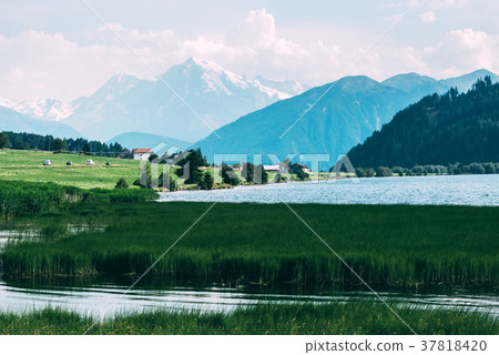 Beautiful view of the lake Muta 37818420