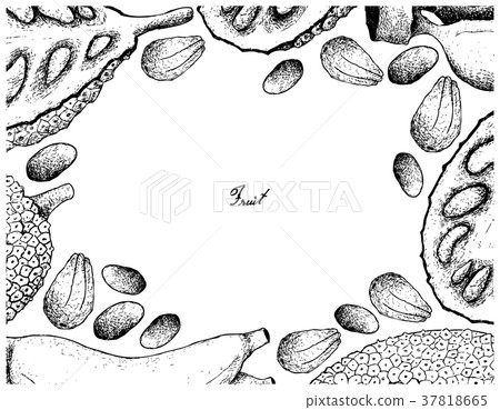 Frame of Ripe Jackfruit and Banana Background Frame of Ripe Jackfruit and Banana Background 37818665