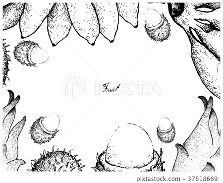 Frame of Fresh Fruits on White Background Frame of Fresh Fruits on White Background 37818669