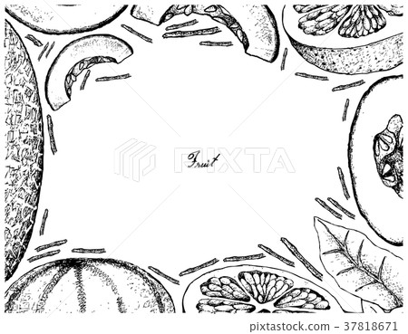 Frame of Cantaloupe and Grapefruit Frame of Cantaloupe and Grapefruit 37818671