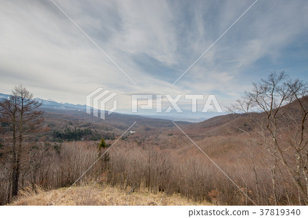 上帝天文台 37819340