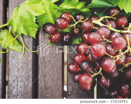 Fresh grapes with green leaves Fresh grapes with green leaves 37819761