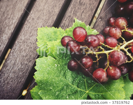 Fresh grapes with green leaves Fresh grapes with green leaves 37819762